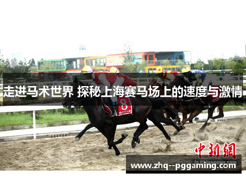 走进马术世界 探秘上海赛马场上的速度与激情 走进马术世界 探秘上海赛马场上的速度与激情